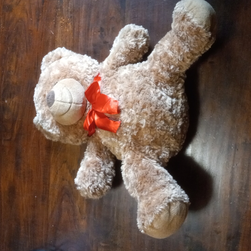 Teddy bear